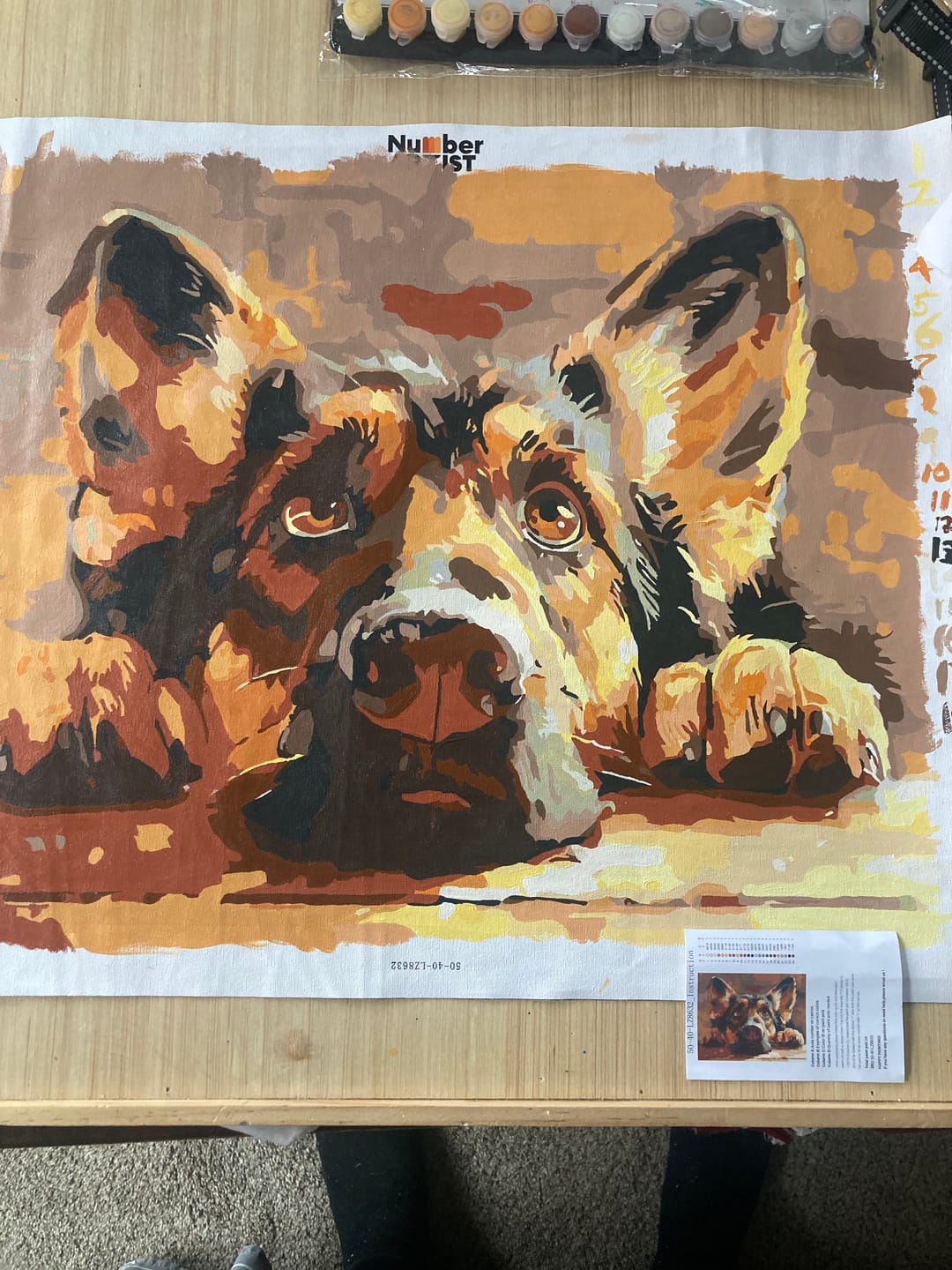 Customer photo review of Bored Shepherd