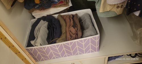Customer photo review of Lilac Large Clothes Organizer