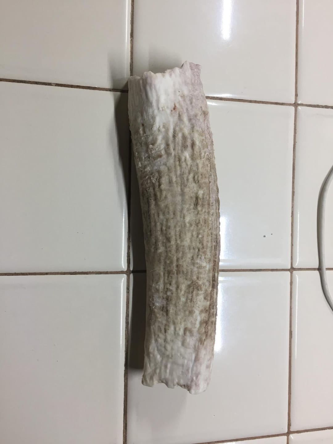 Customer photo review of Whole Elk Antler Chew - Extra Large