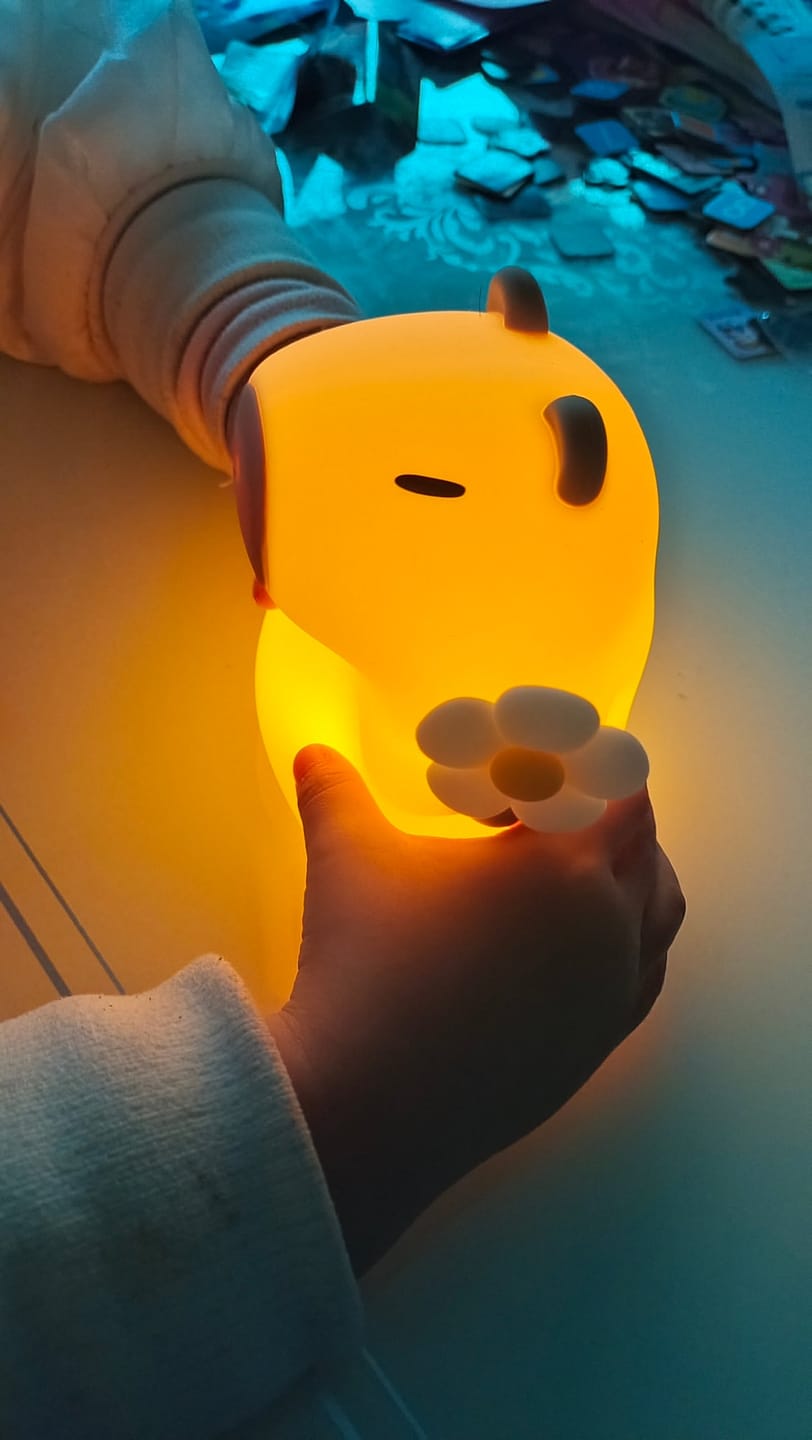 Customer photo review of MeWaii® Capybara Squishy Night Light - Perfect Gift 🎁