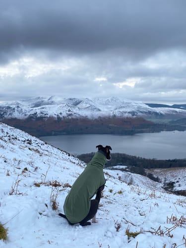 Customer photo review of Fleece Sighthound Base-Layer Coat with Underbelly and Snood