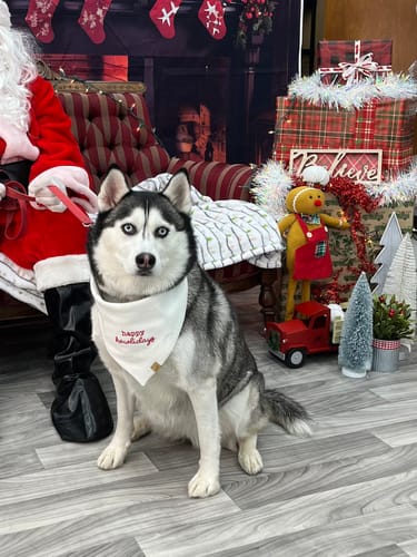 Customer photo review of Custom Name Embroidered Bandana