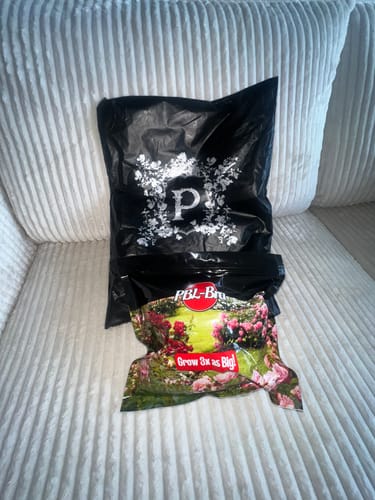 Customer photo review of PBL PUSH-UP BRA