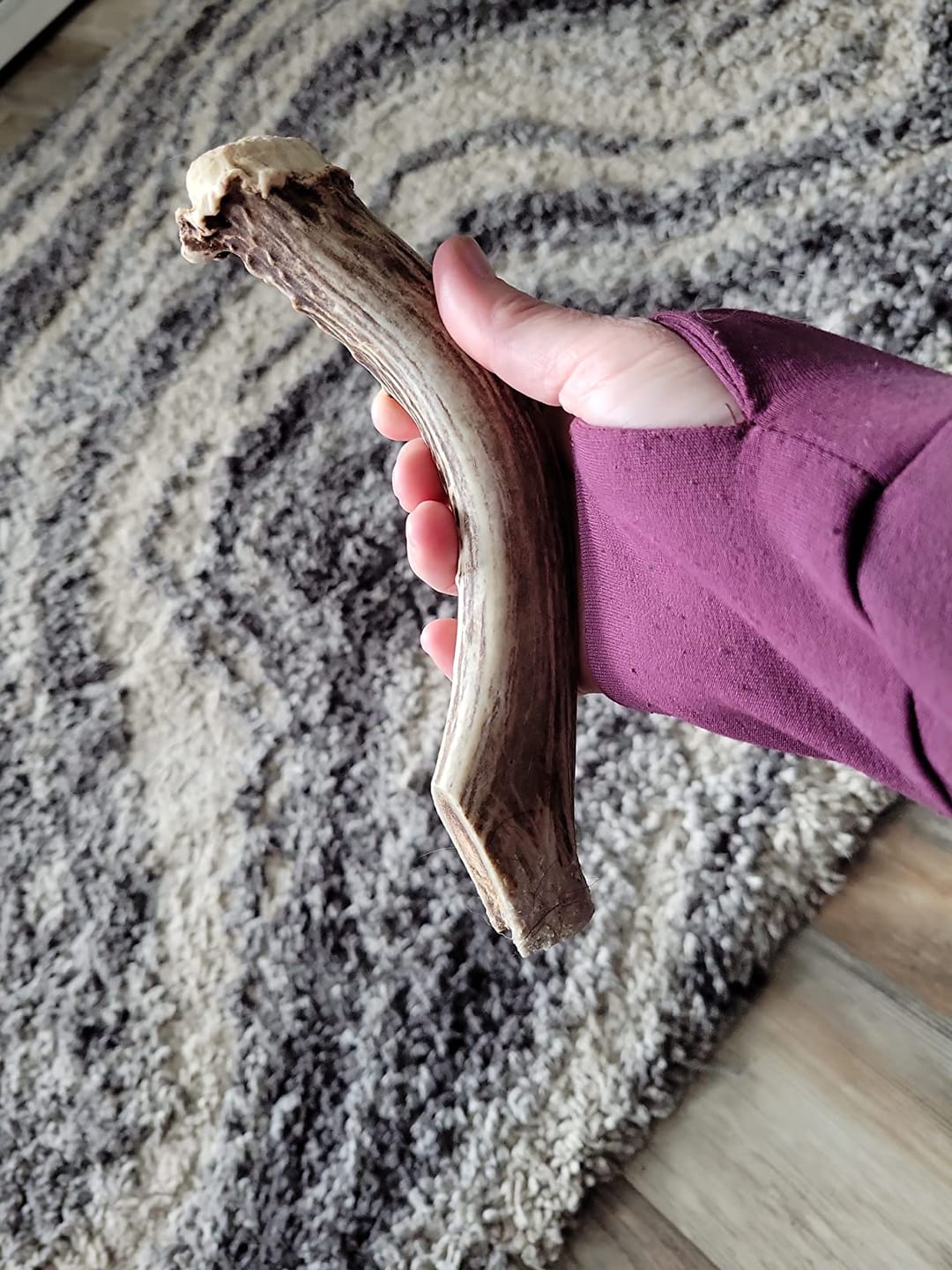 Customer photo review of Deer Antler Chew - Extra Large