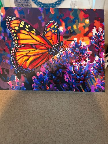 Customer photo review of Lavender Flight