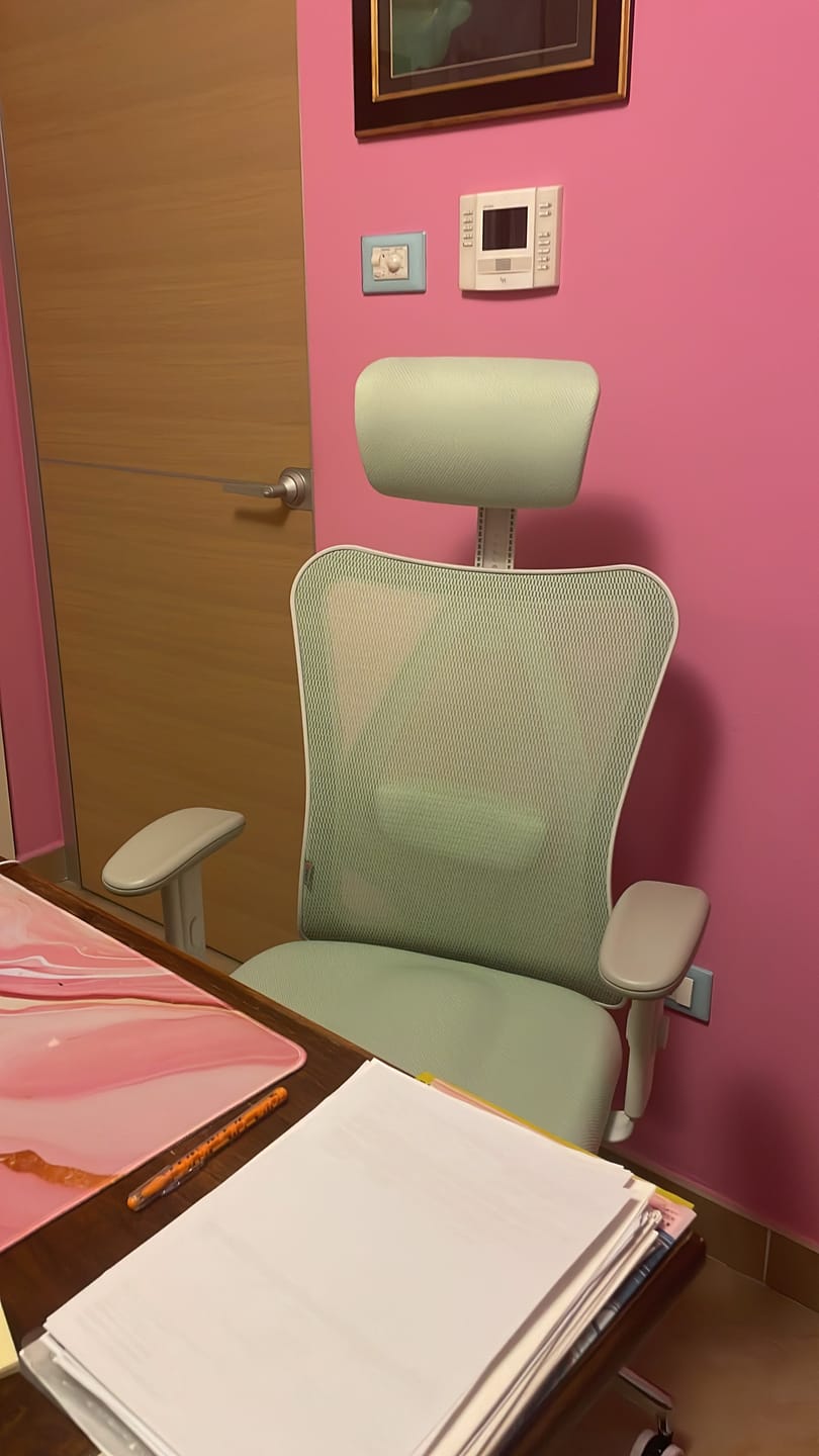 Customer photo review of M18 Classic Office Chair