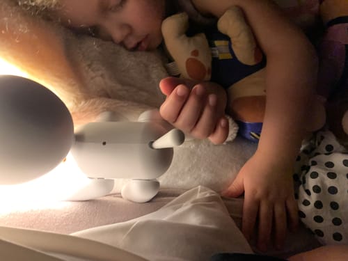 Customer photo review of Kidylamp | Kidywolf (Original Price kr 449)