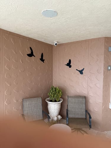 Customer photo review of Birds - Metal Wall Art