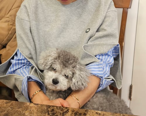 Customer photo review of LILY Textured Crew Neck Sweatshirt