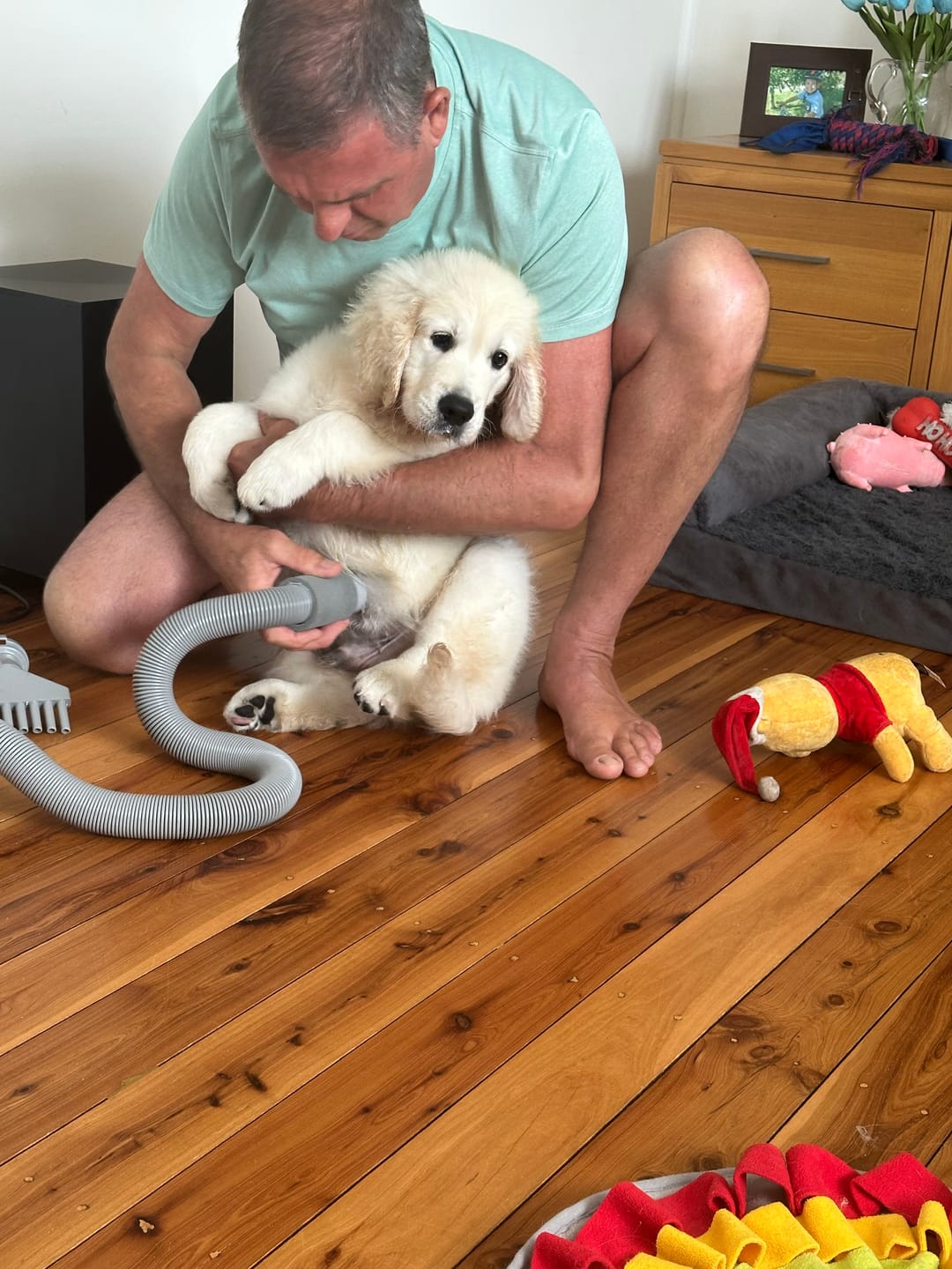 Customer photo review of Pawz Pet Dryers