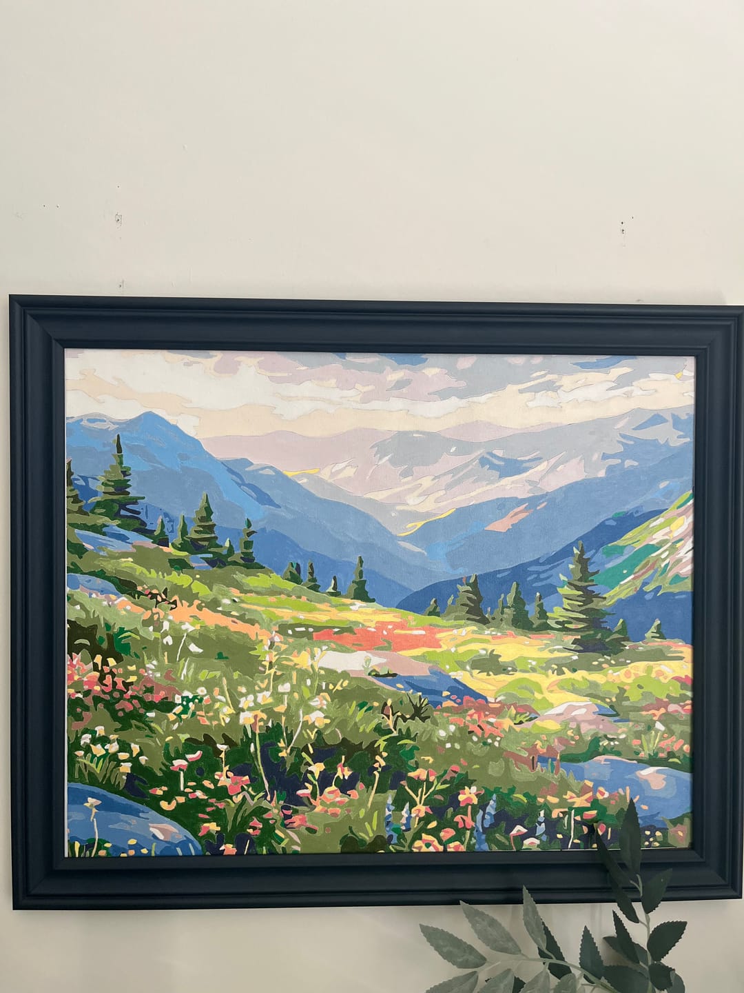 Customer photo review of Mountain Chain View