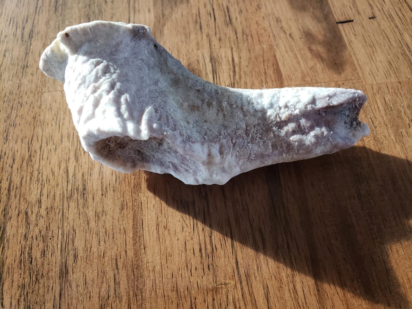 Customer photo review of Whole Elk Antler Chew - Extra Large