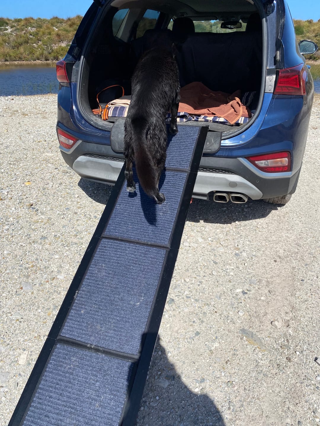 Customer photo review of Pawz Foldable Dog Ramp for Cars & SUVs