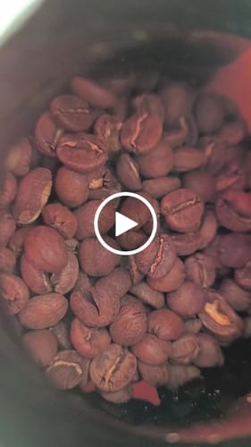 Customer video review of Kenya Gatomboya AA Washed SL28/34