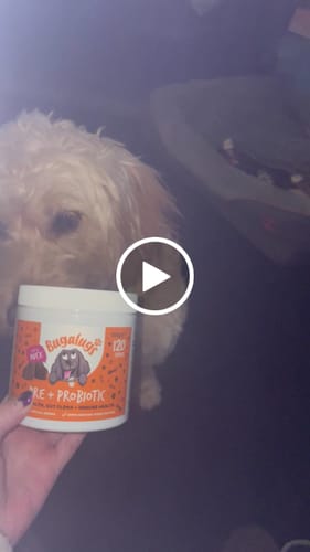 Customer video review of Pre + Pro Biotic Supplement Chews for Dogs