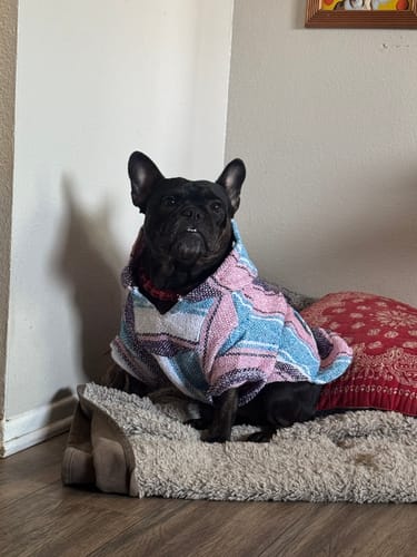 Customer photo review of Playa Poncho - Surprise Color