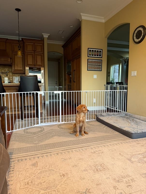 Customer photo review of FairyBaby 3/6/8-Panel Wall-Mount Baby Gate,White/Charcoal Gray