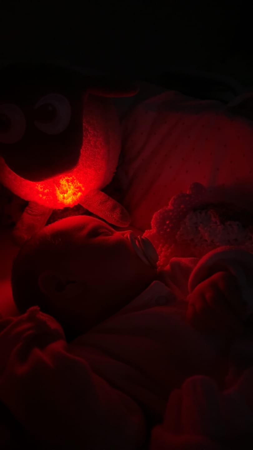 Customer photo review of ewan the dream sheep | baby sleep soother | grey