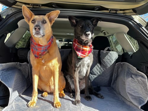 Customer photo review of Waterproof Cargo Area Cover