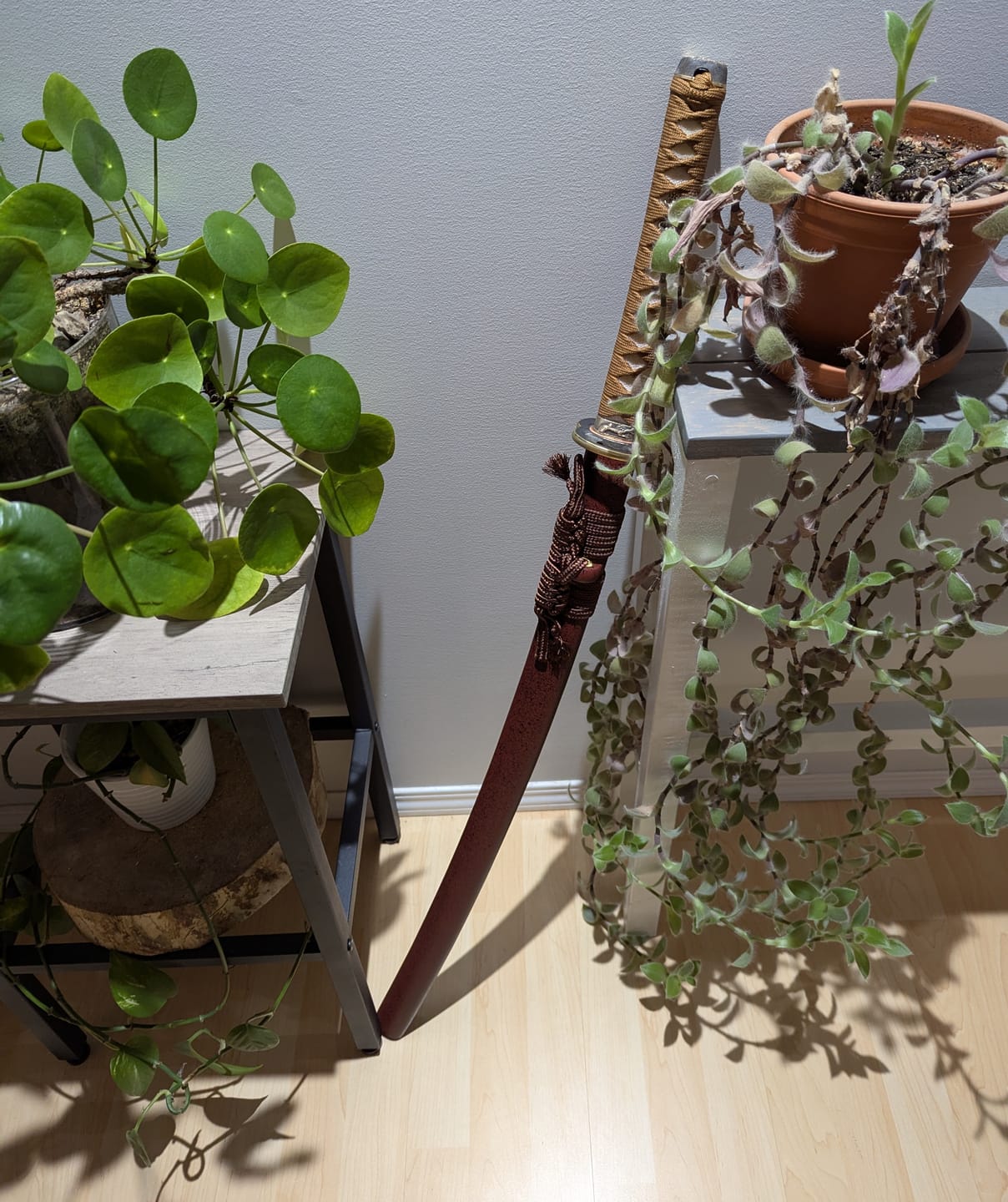 Customer photo review of Katana - Rurouni Kenshin: Battousai るろうに剣心: ばっとうさい