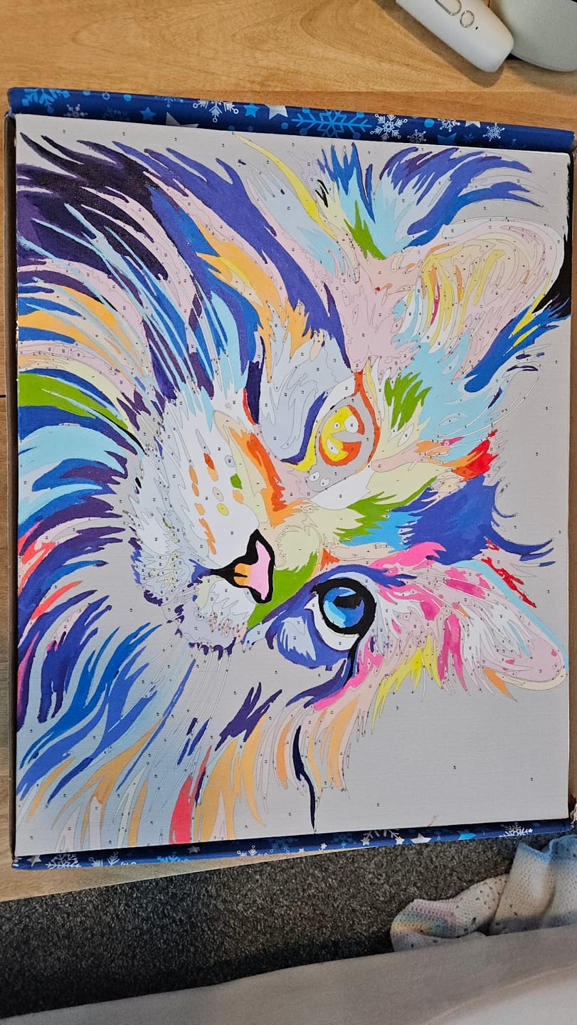 Customer photo review of Colorful Cat