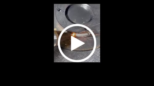 Customer video review of Cloudray DW02 1500W 2000W 3 in 1 Handheld Laser Welding & Cleaning Machine