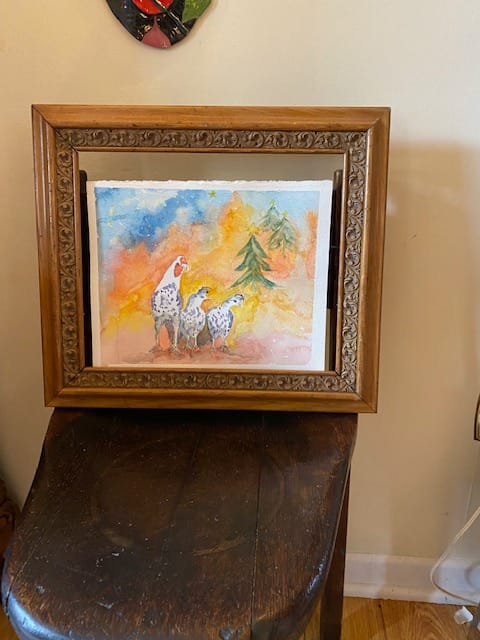 Customer photo review of Snowy in Montreal