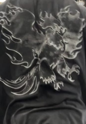 Customer photo review of Distressed Tees