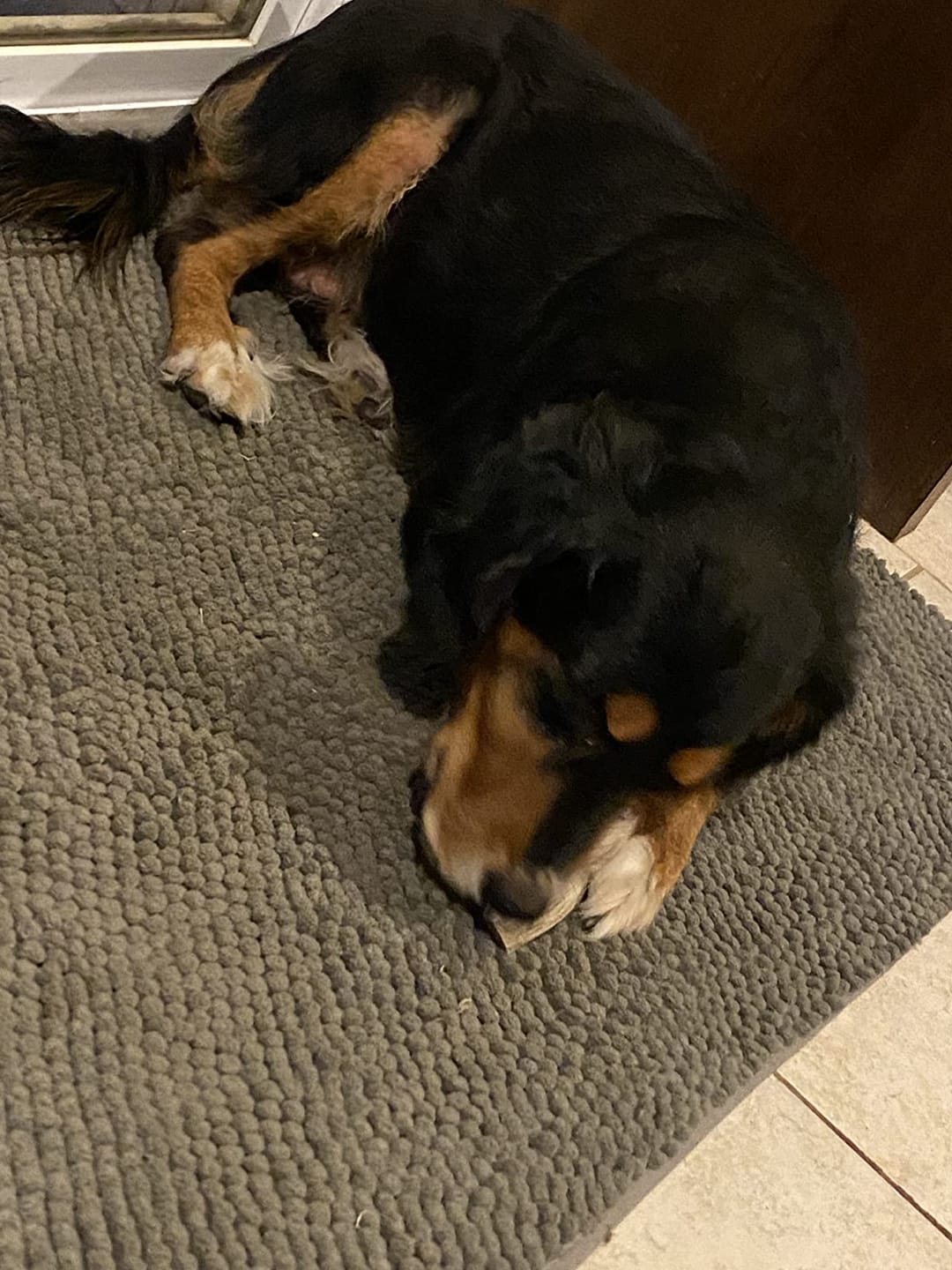 Customer photo review of Deer Antler Chew - Extra Large
