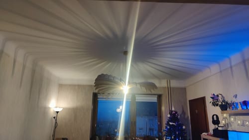 Customer photo review of Aigle | Suspension