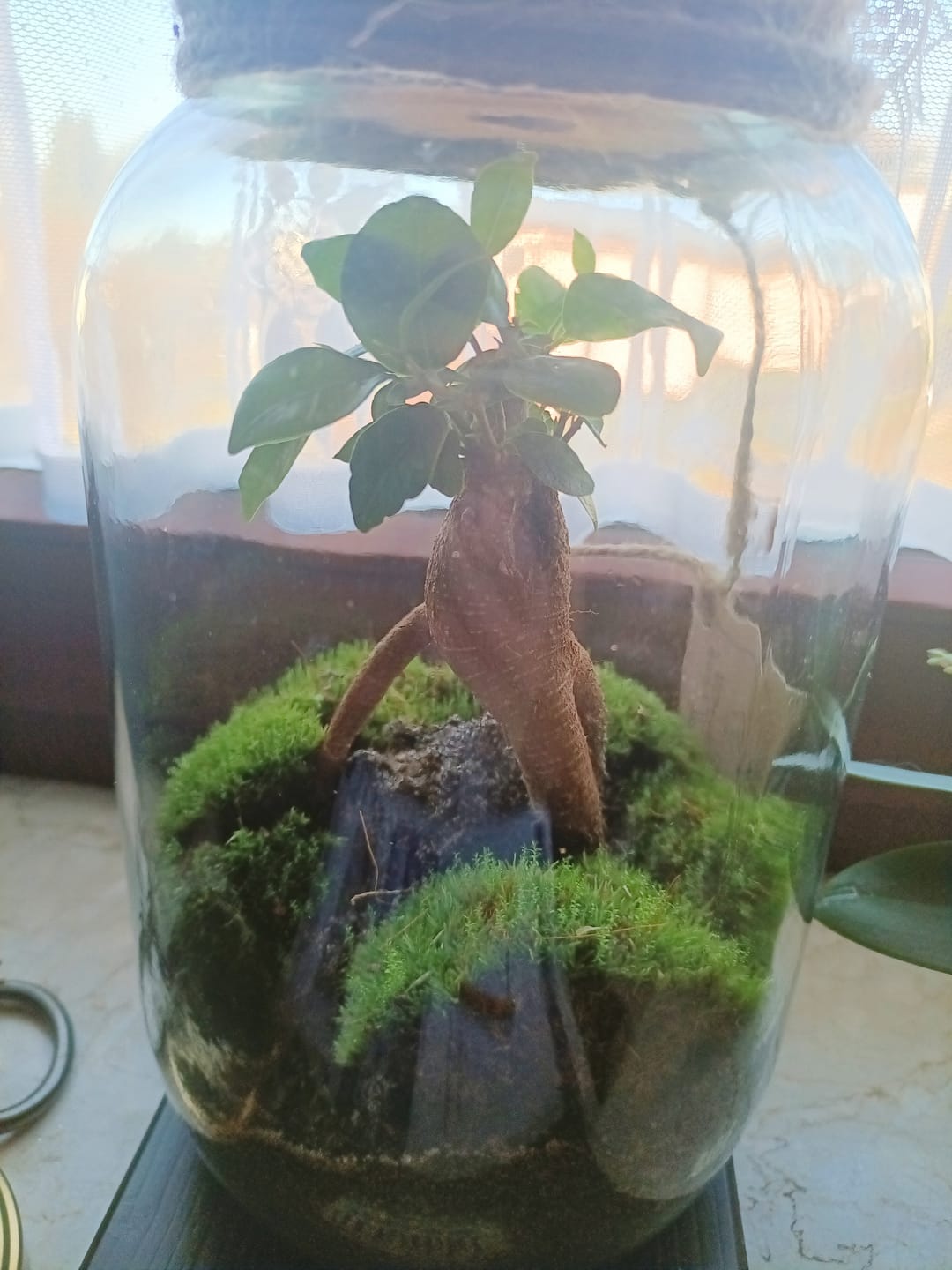 Customer photo review of Lieferung zum Wunschtermin