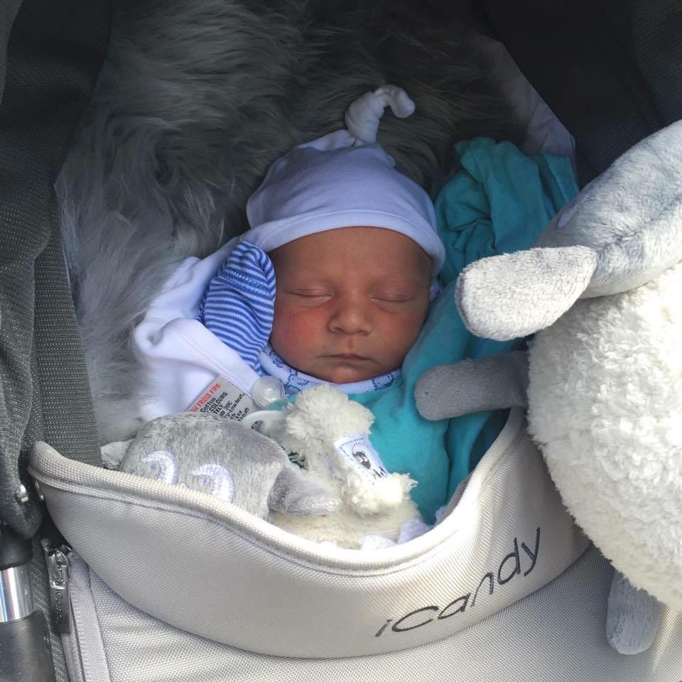 Customer photo review of ewan Deluxe | baby shushing sleep sheep | gray