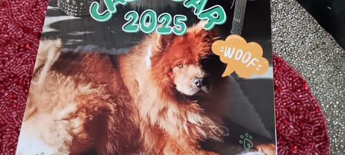 Customer photo review of PUPVOTE: 2025 Cutest Pet Calendar (Official Edition)