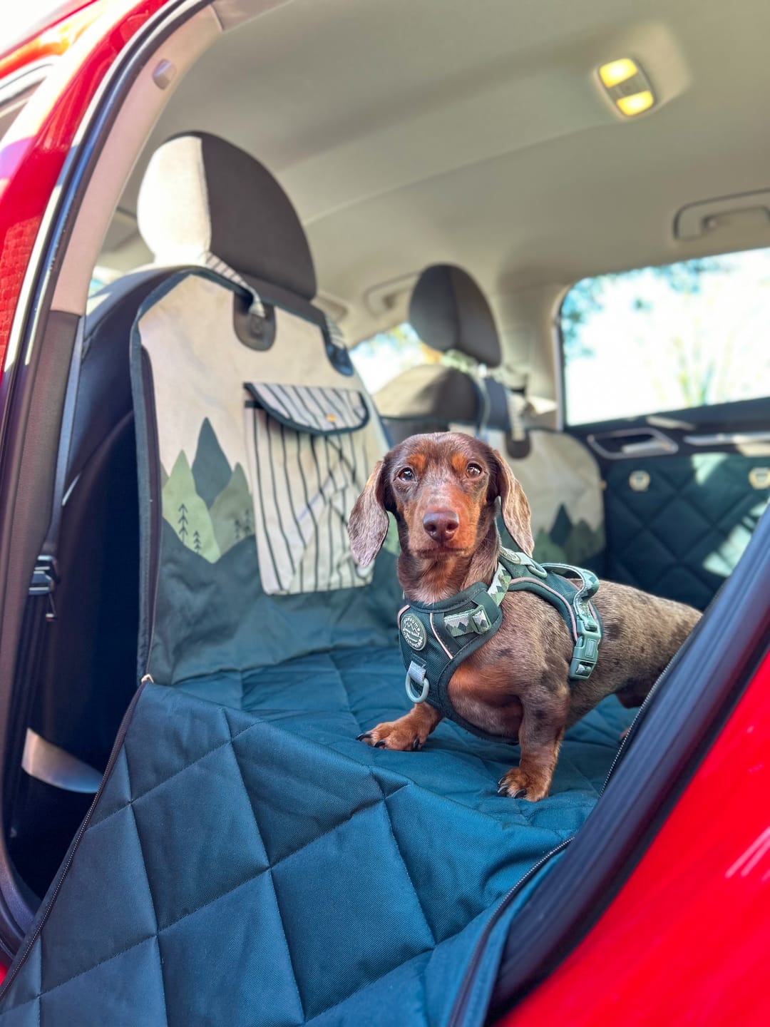 Customer photo review of Car Seat Cover - Walkies Ready® Forest Green