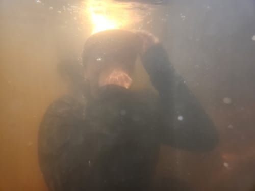 Customer photo review of Samsung Waterproof Case Dirtproof Snowproof Dropproof Cover