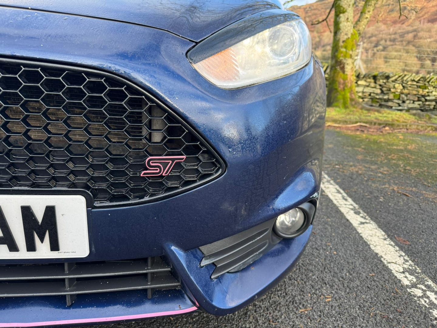 Customer photo review of Proform Headlight Eyebrows - Mk7.5 Fiesta (Various Finishes)