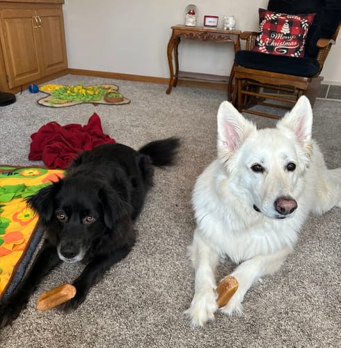 Customer photo review of Jumbo Yak Milk Dog Chews