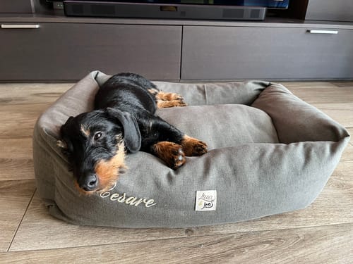 Customer photo review of Divanetto Mattias Antracite (Soft Touch)