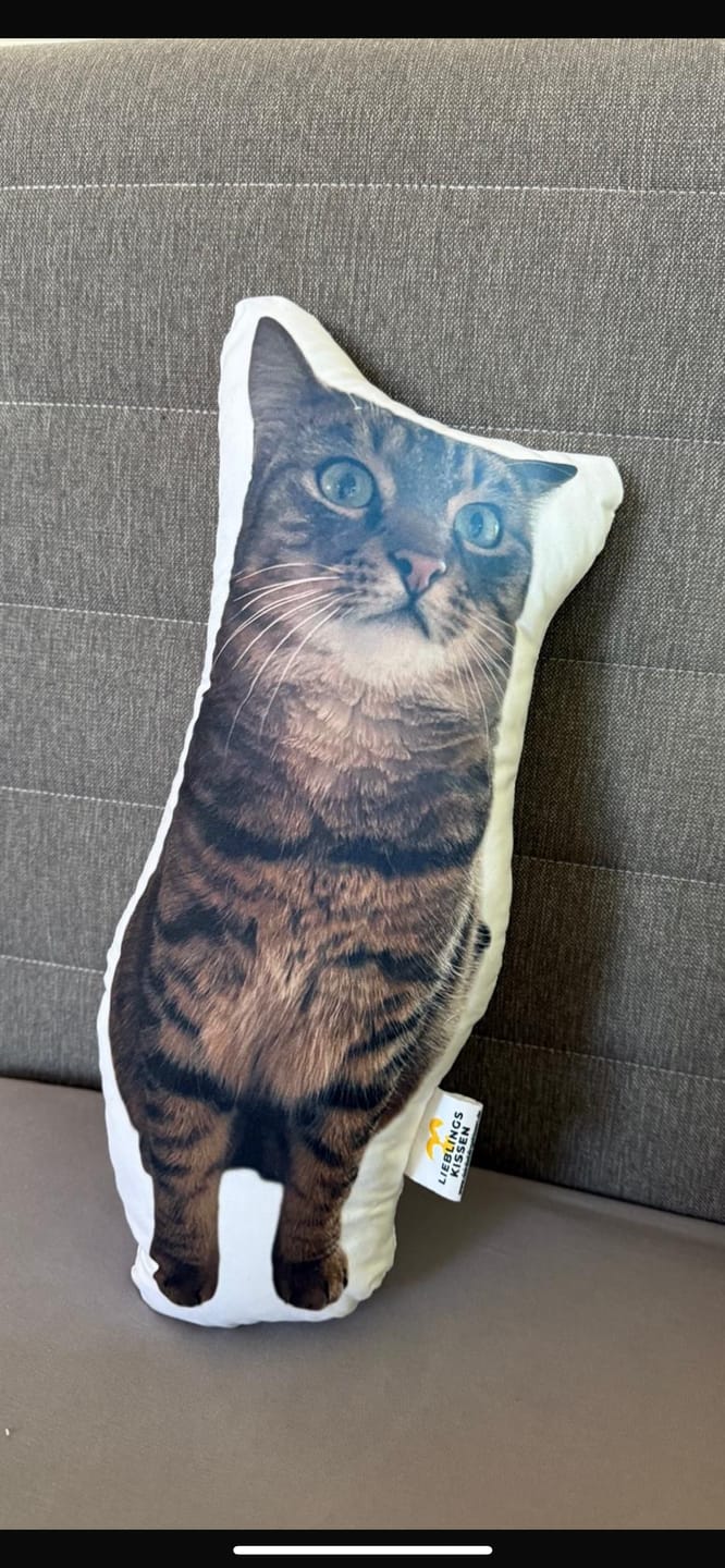 Customer photo review of Personalisiertes Katzenkissen