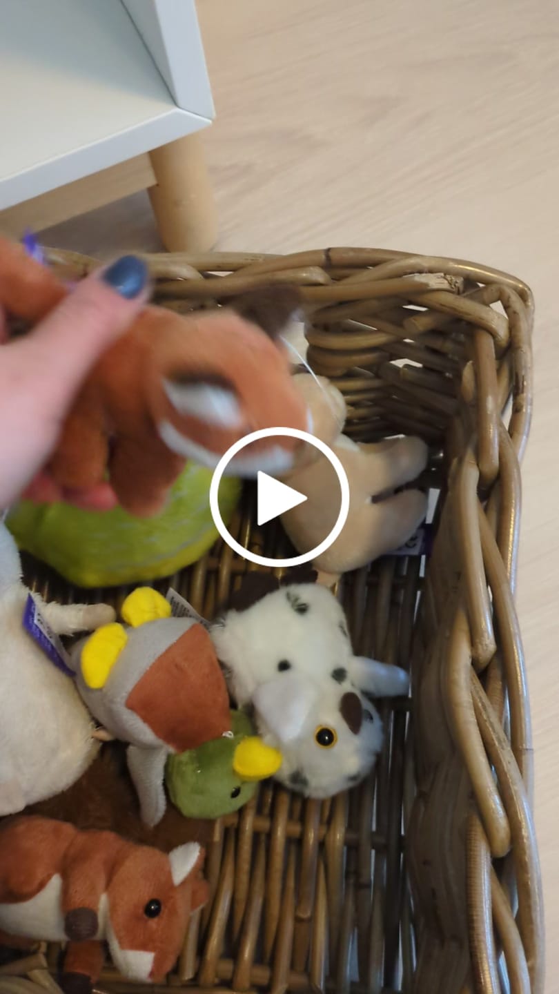 Customer video review of Birds with sound from Wild Republic