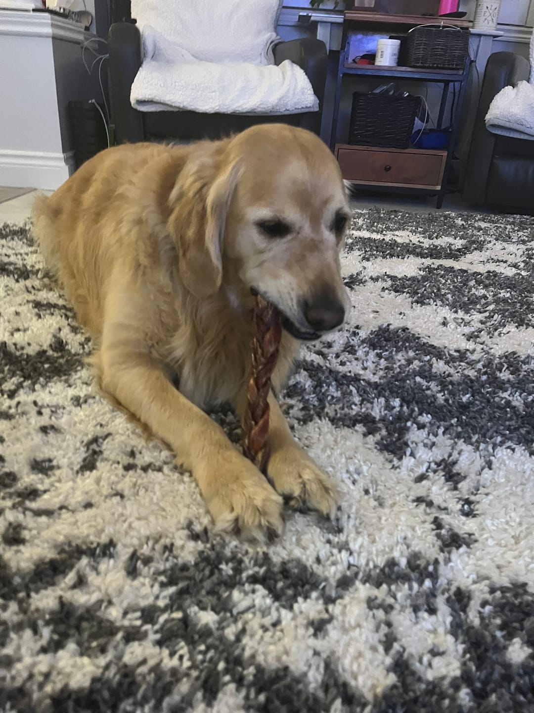Customer photo review of 12 Inch Braided Jerky Stick