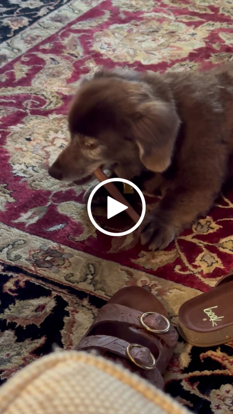 Customer video review of Maplewood Smoked Bullys