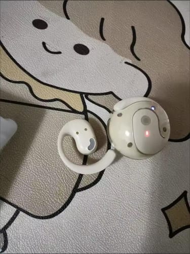 Customer photo review of TranslateBuds (iOS & Android)