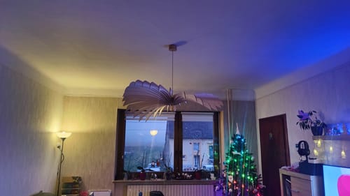 Customer photo review of Aigle | Suspension