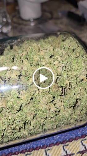 Customer video review of Greenhouse Smalls