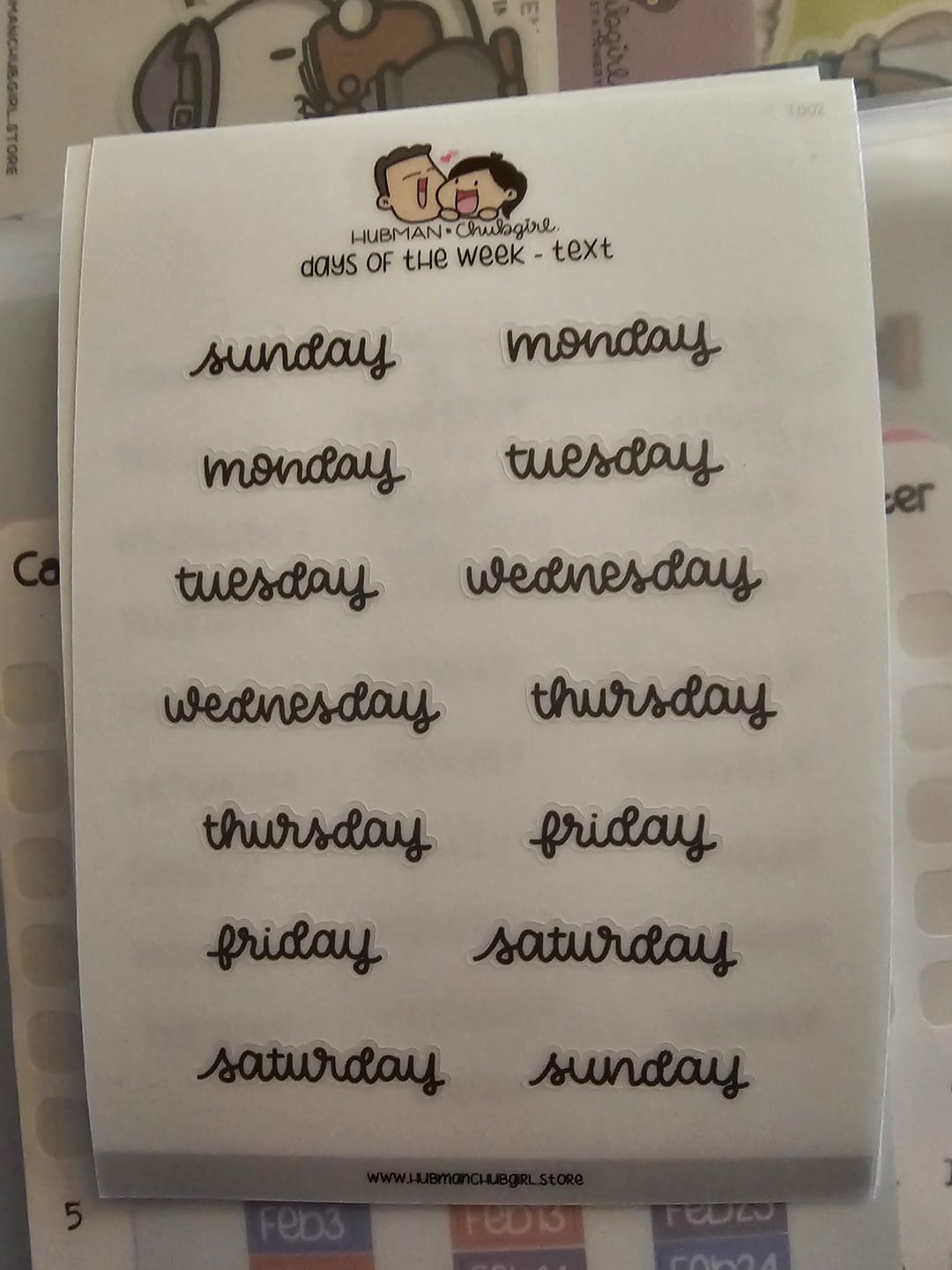 Customer photo review of Days of the Week Text Planner Stickers - Script