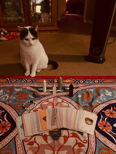 Customer photo review of Mindful Subscription Box