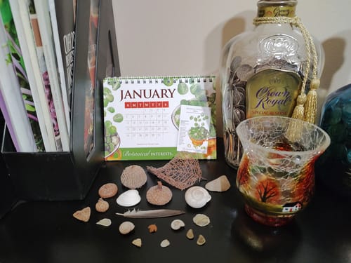 Customer photo review of 2025 Botanical Interests Desk Calendar