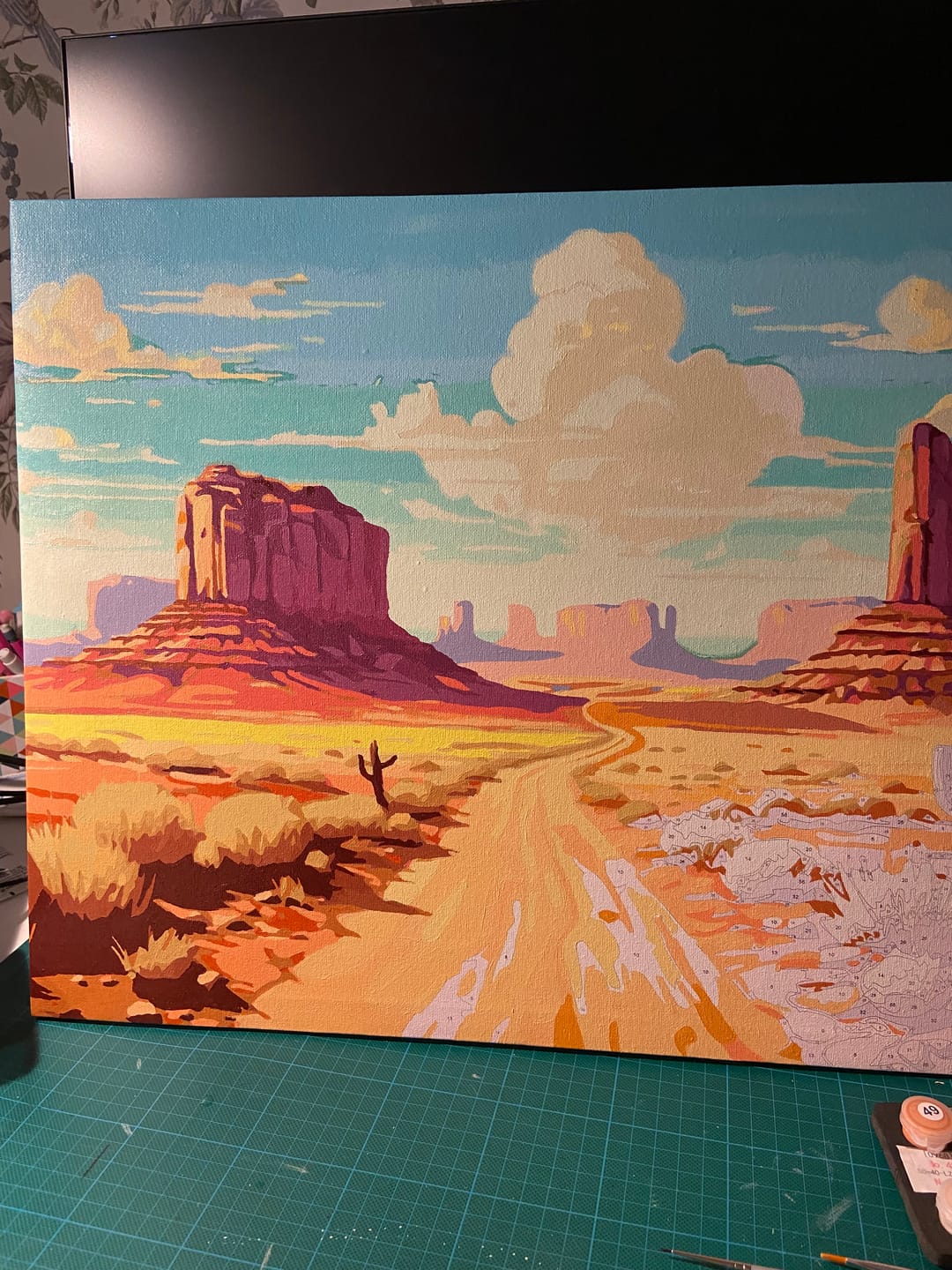 Customer photo review of Canyonland Path