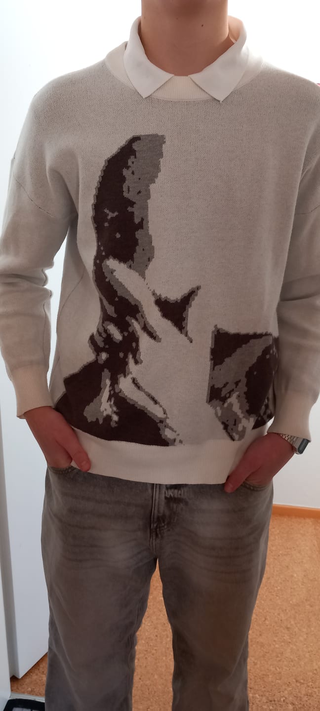 Customer photo review of THE FRANK SWEATER